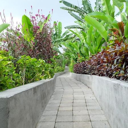Rendira Villa 2 อูบุด ภายนอก รูปภาพ